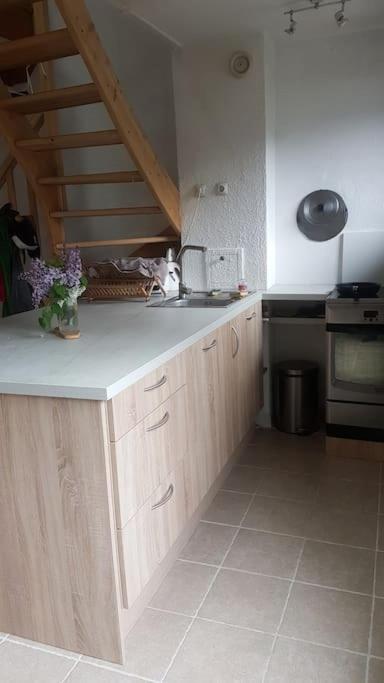 Beau Duplex Lumineux A La Montagne Nice Flat Just Underneath Mtblanc Les Houches Esterno foto
